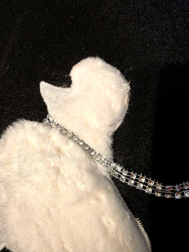 The rhinestone leash stitched from the white poodle's collar