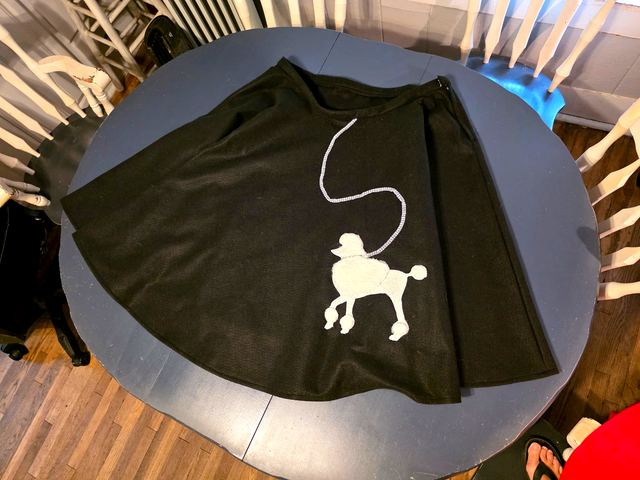 The black poodle skirt spread out on a table